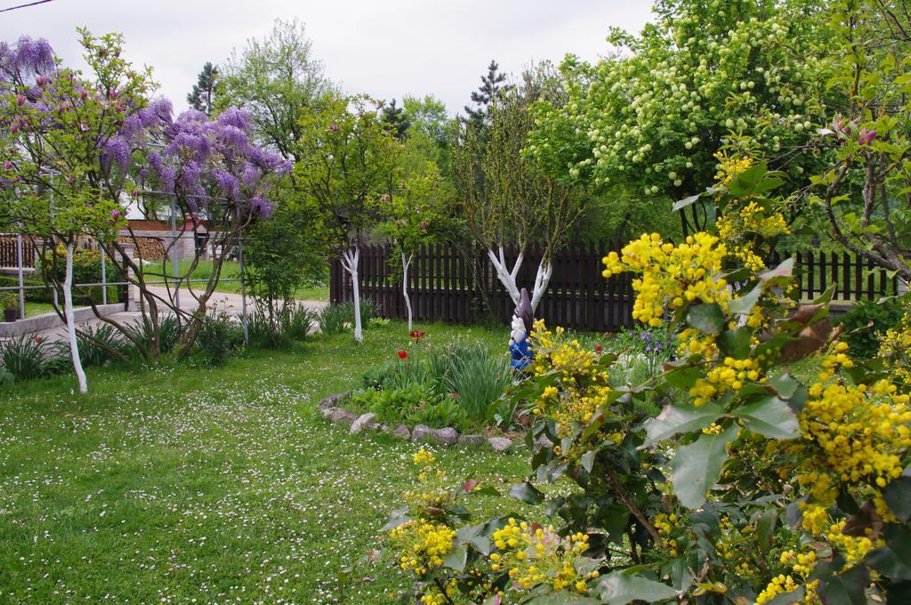 Apartment Tomy Slunj Exterior photo